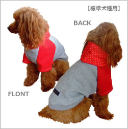 ����̒�����񂱂���ɂ̓p�[�J�[�^�C�v�������߂ł���