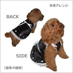 �~�p�A�����W