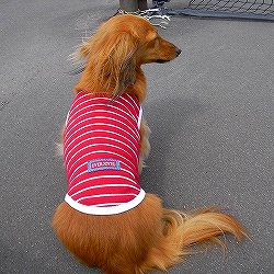 �F��Ȑ��n�ō���Ă�