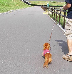 ���o�����ɂ��f�C���[�ɂ���