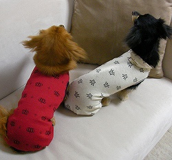 ���������ɂ��������n�j��