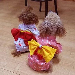 �т͐F�X������Ċy�����