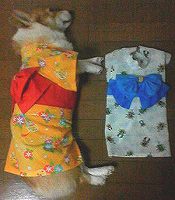 �C�����ǂ������O�O