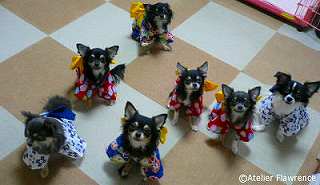 �����ς��I�����`���I