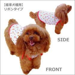 �y�W������p�z���{���^�C�v