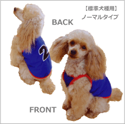 �y�W������p�z�m�[�}���^�C�v