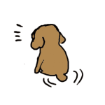 犬猫あるある　その10