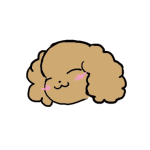 減量大作戦 2週間後 減量大作戦 2週間後