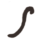 猫にまたたび　犬に○○○？