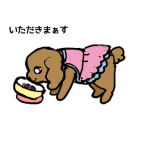 犬猫あるある　その6