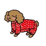 レインウェアの進行状況