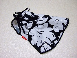 �L���~����Web�����@��{�̌`